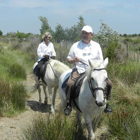 Mas De La Grenouillere Hotel Et Centre Equestre En Pleine Nature Saintes-Maries-de-la-Mer Exterior photo