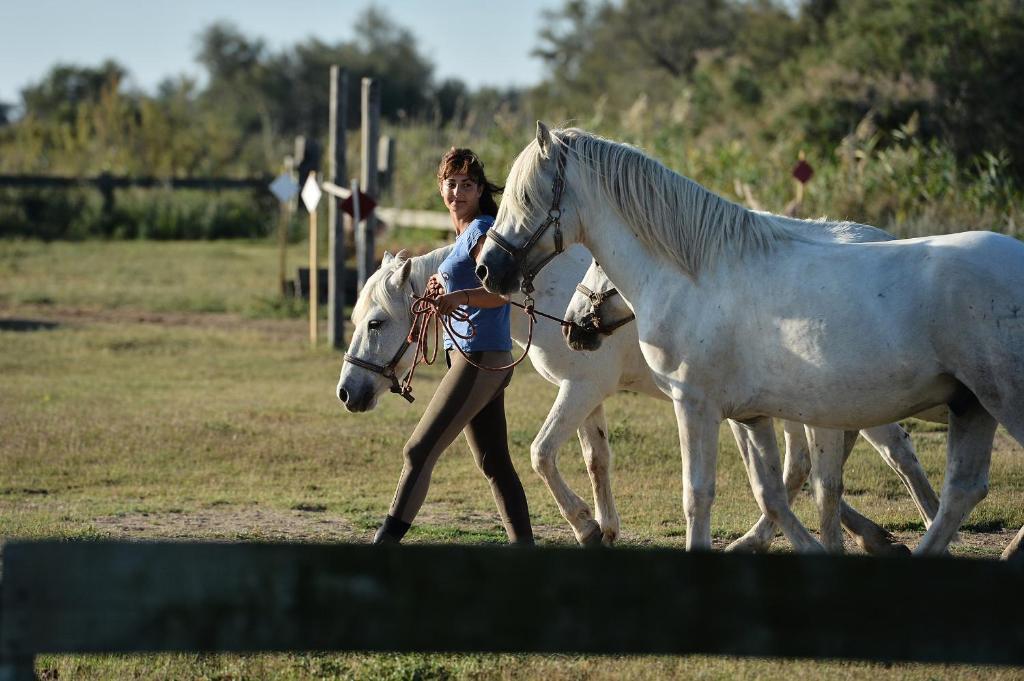 Mas De La Grenouillere Hotel Et Centre Equestre En Pleine Nature Saintes-Maries-de-la-Mer Exterior photo