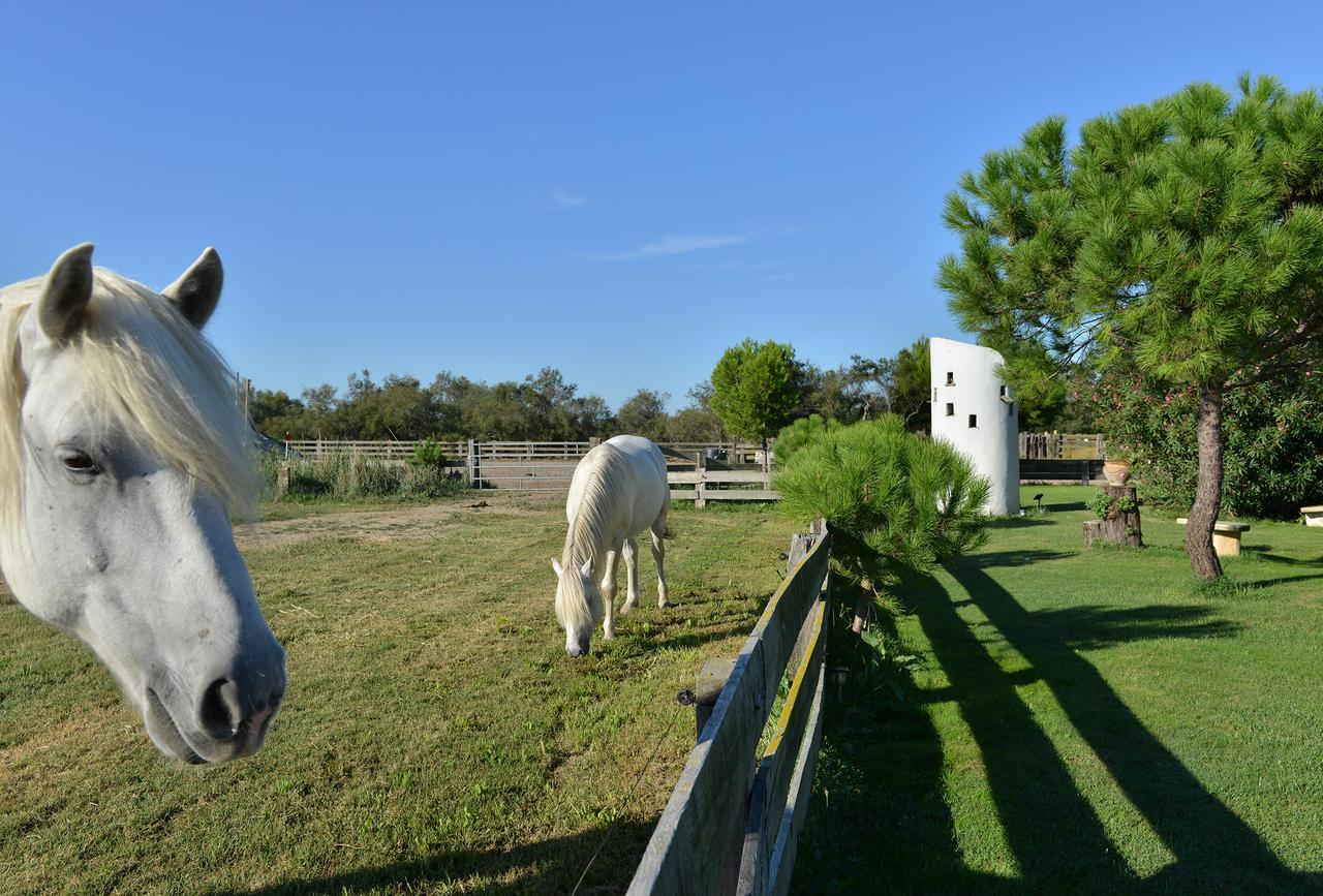 Mas De La Grenouillere Hotel Et Centre Equestre En Pleine Nature Saintes-Maries-de-la-Mer Exterior photo